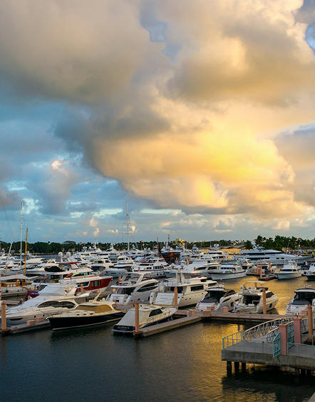 Palm Harbor